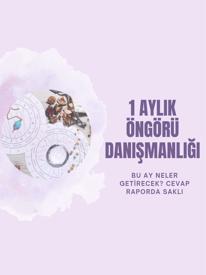 Bir Aylık Öngörü Raporu - 1