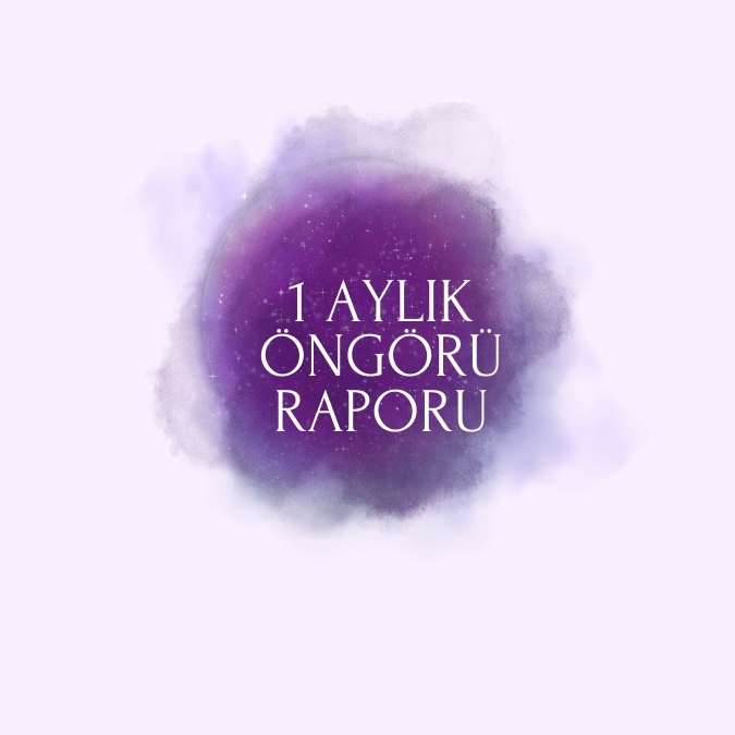 Bir Aylık Öngörü Raporu - 1