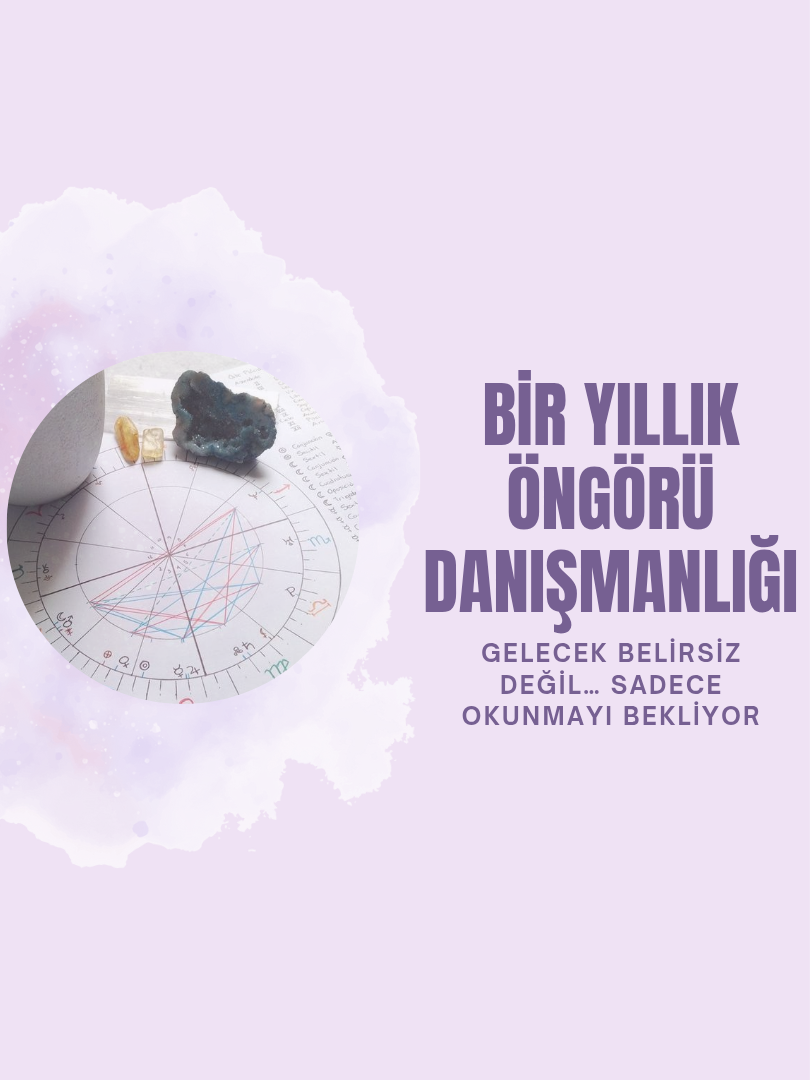 Bir Yıllık Öngörü Danışmanlığı - 