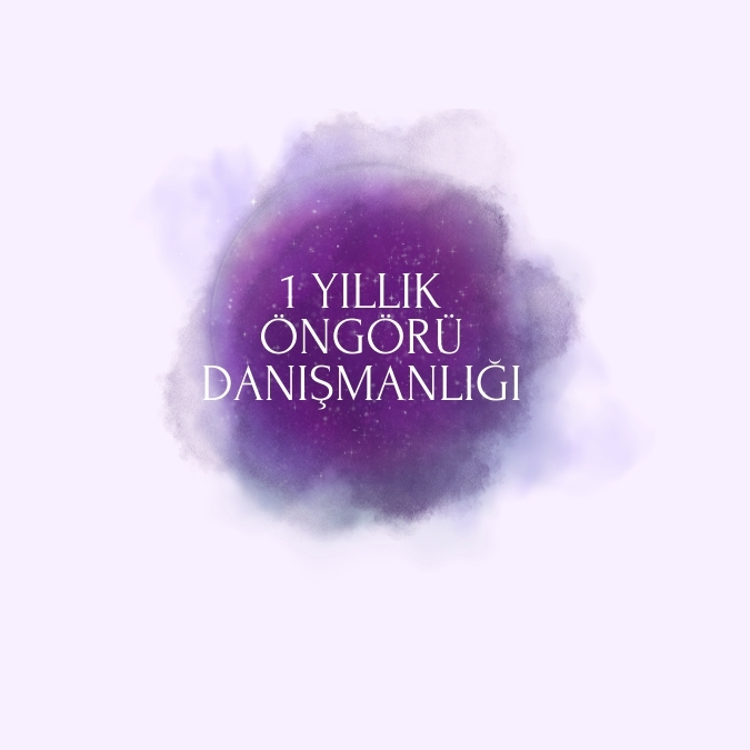 Bir Yıllık Öngörü Danışmanlığı - 1