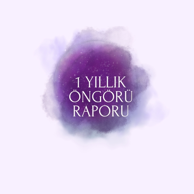 Bir Yıllık Öngörü Raporu - 1