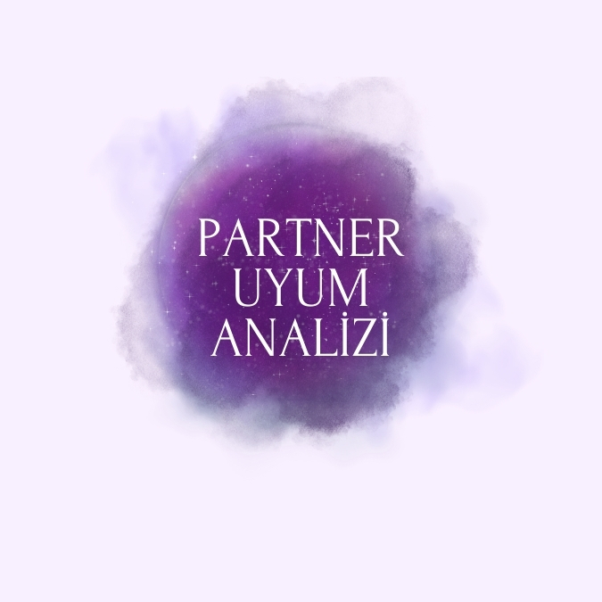 Partner Uyum Analizi - 1